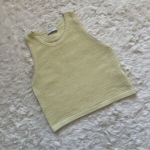 Aritzia Ribbed Knit Tank Top in Light Green